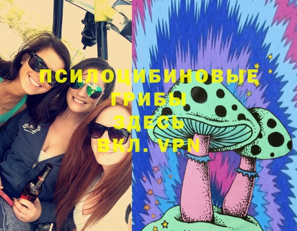 не бодяженный Алексин