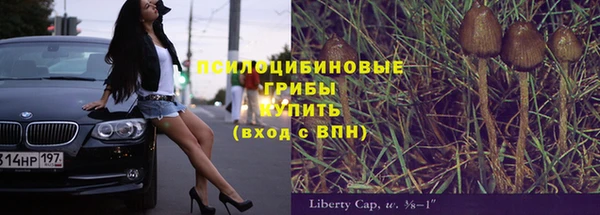 не бодяженный Алексин