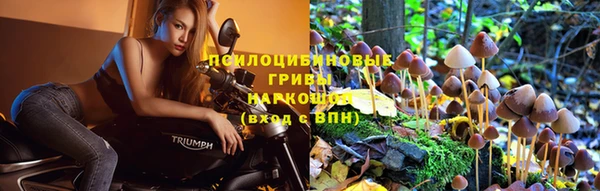 не бодяженный Алексин