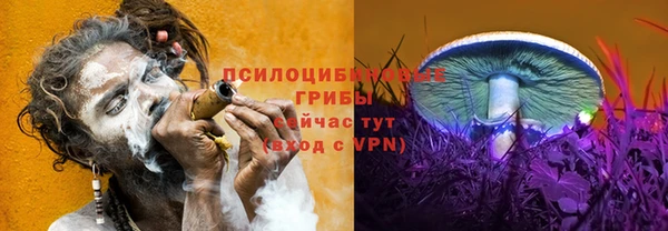 бошки Алексеевка